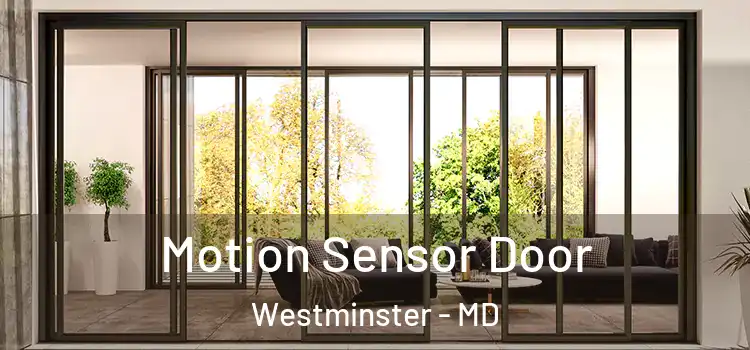  Motion Sensor Door Westminster - MD