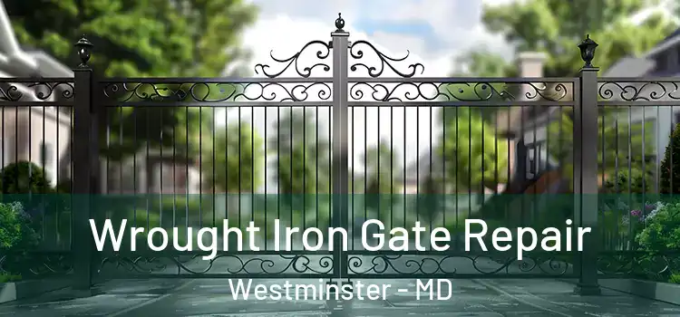  Wrought Iron Gate Repair Westminster - MD